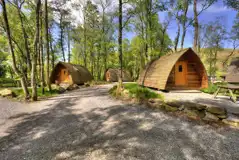 Dog friendly camping pods within a woodland setting