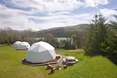 Camping domes surrounded by woodland and forest trees