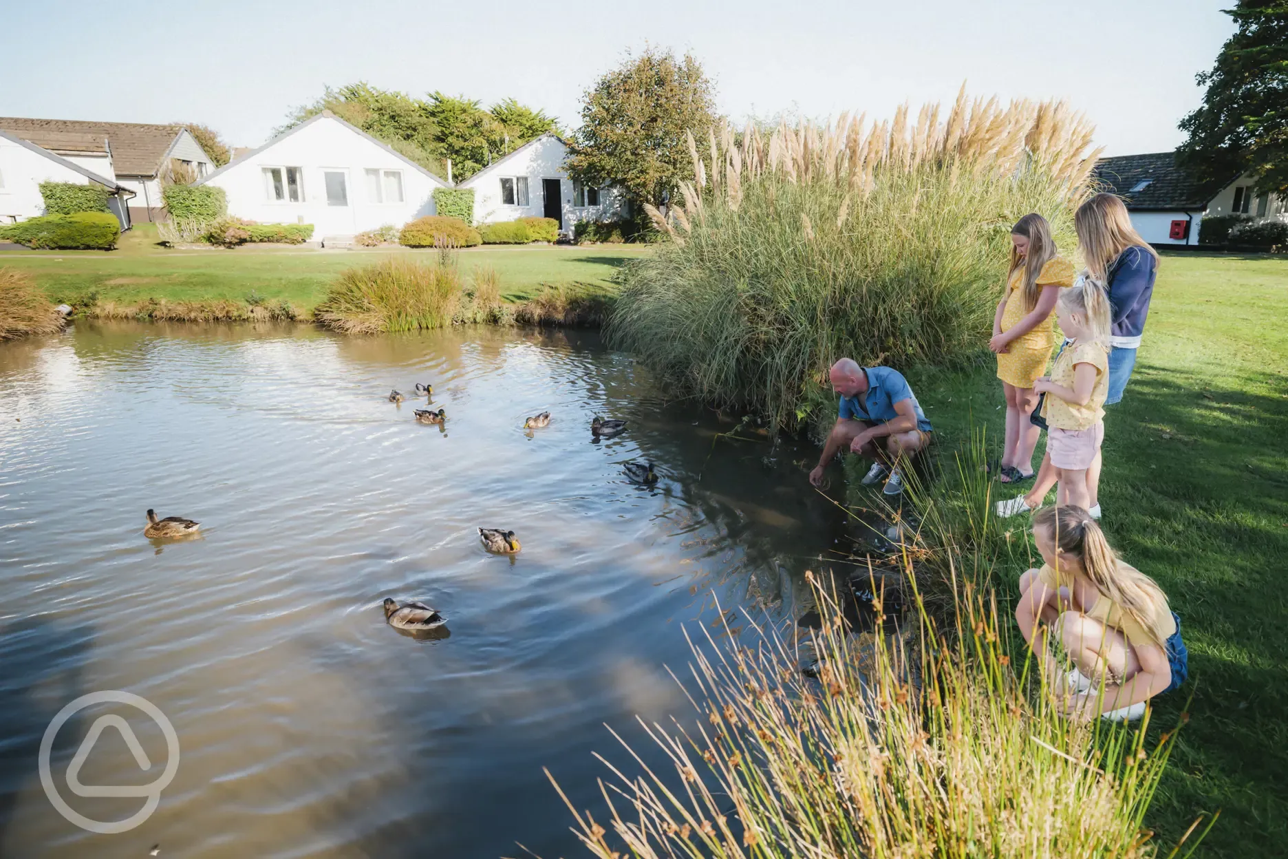 Duck pond