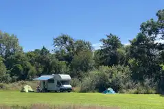 Non electric grass pitches surrounded by trees