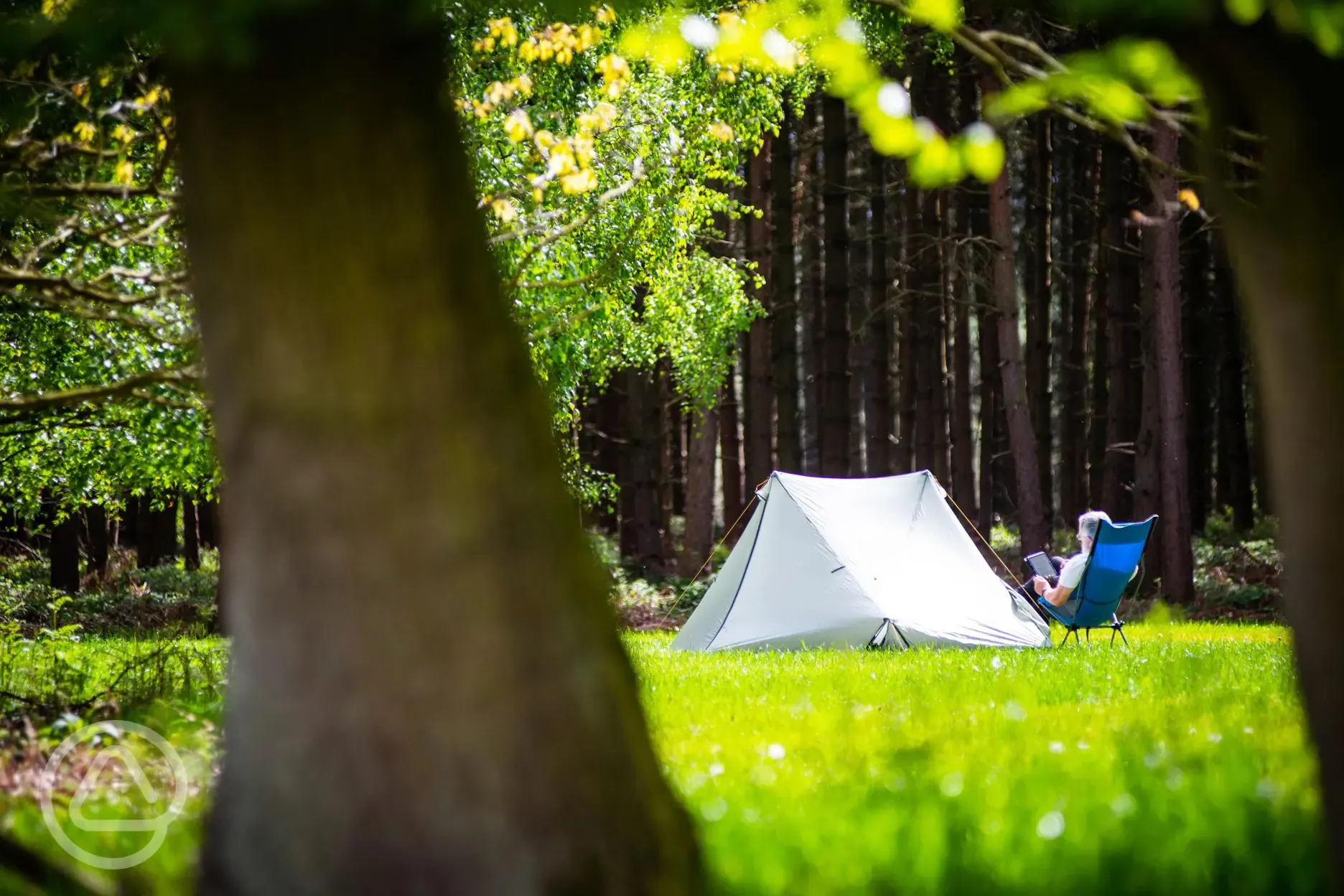 Secluded non electric grass pitches at Sherwood Pines Campsite Secluded non electric grass pitches at Sherwood Pines Campsite