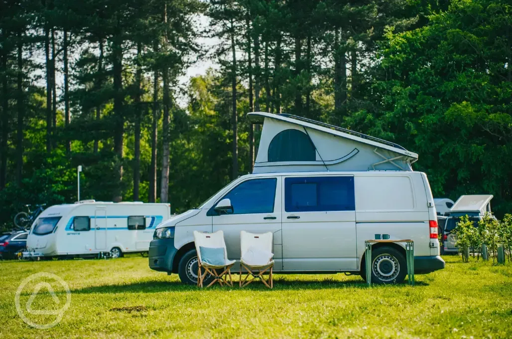 Non electric grass pitches at Sherwood Pines Campsite Non electric grass pitches at Sherwood Pines Campsite