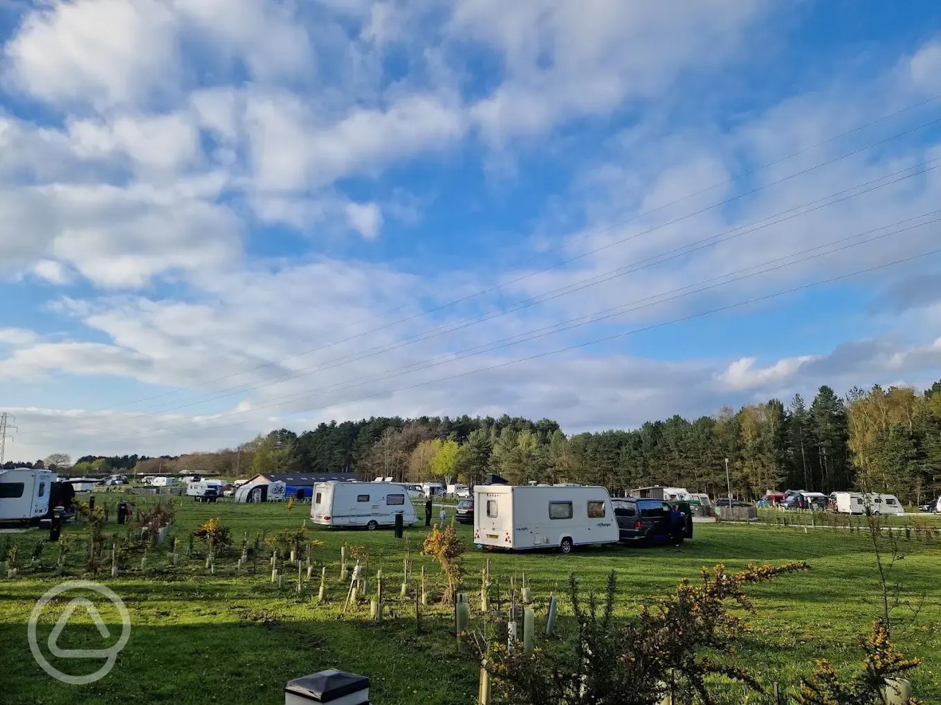 Caravans on electric grass pitches at Sherwood Pines Campsite Caravans on electric grass pitches at Sherwood Pines Campsite