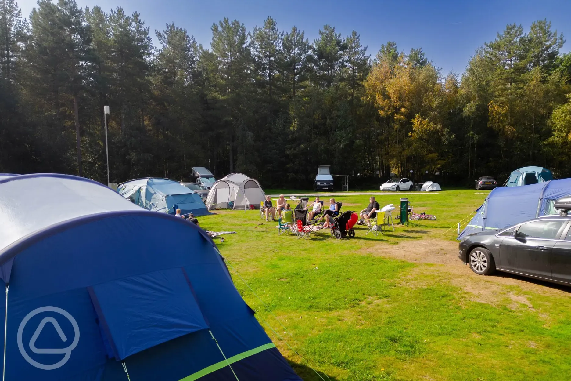 Electric grass pitches at Sherwood Pines Campsite Electric grass pitches at Sherwood Pines Campsite