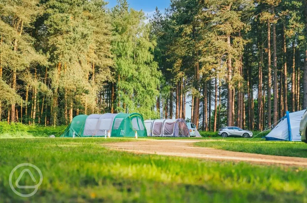 Non electric grass pitches at Sherwood Pines Campsite Non electric grass pitches at Sherwood Pines Campsite