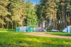 Non electric grass pitches at Sherwood Pines Campsite