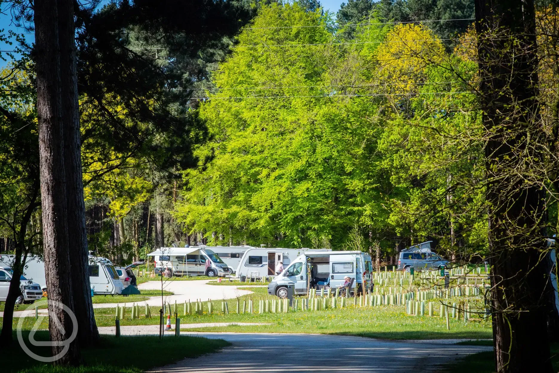 Electric hardstanding and grass pitches at Sherwood Pines Campsite Electric hardstanding and grass pitches at Sherwood Pines Campsite