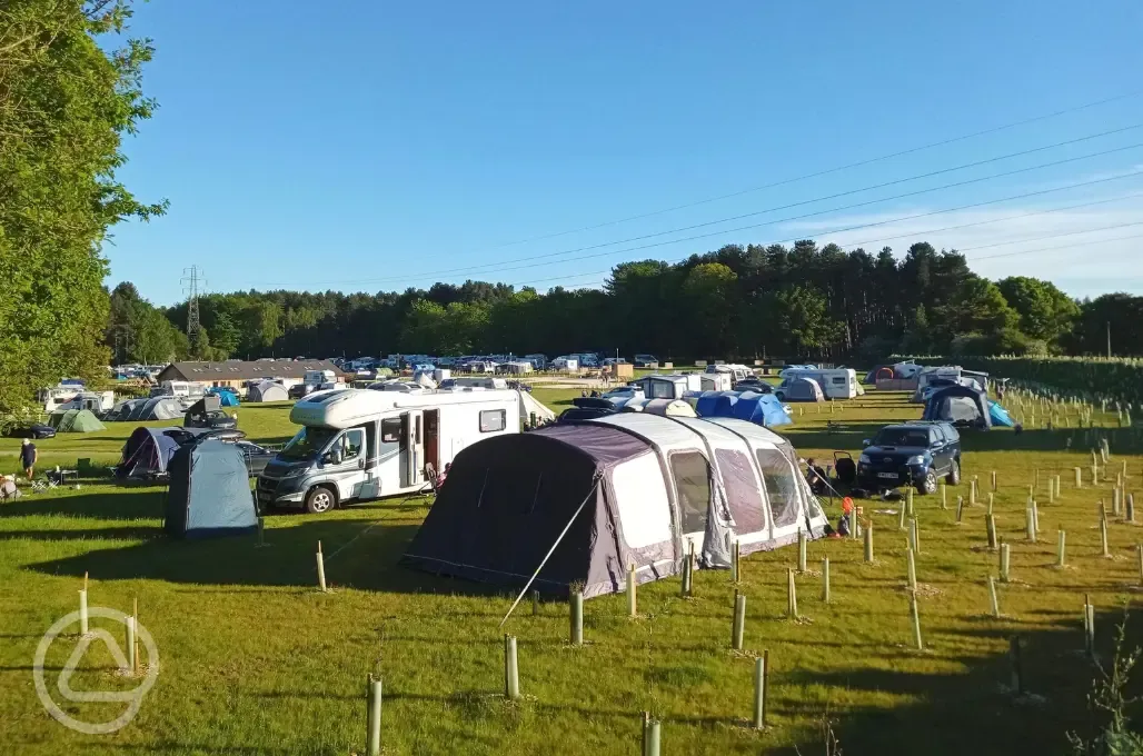 Motorhomes and tents on grass pitches at Sherwood Pines Campsite Motorhomes and tents on grass pitches at Sherwood Pines Campsite