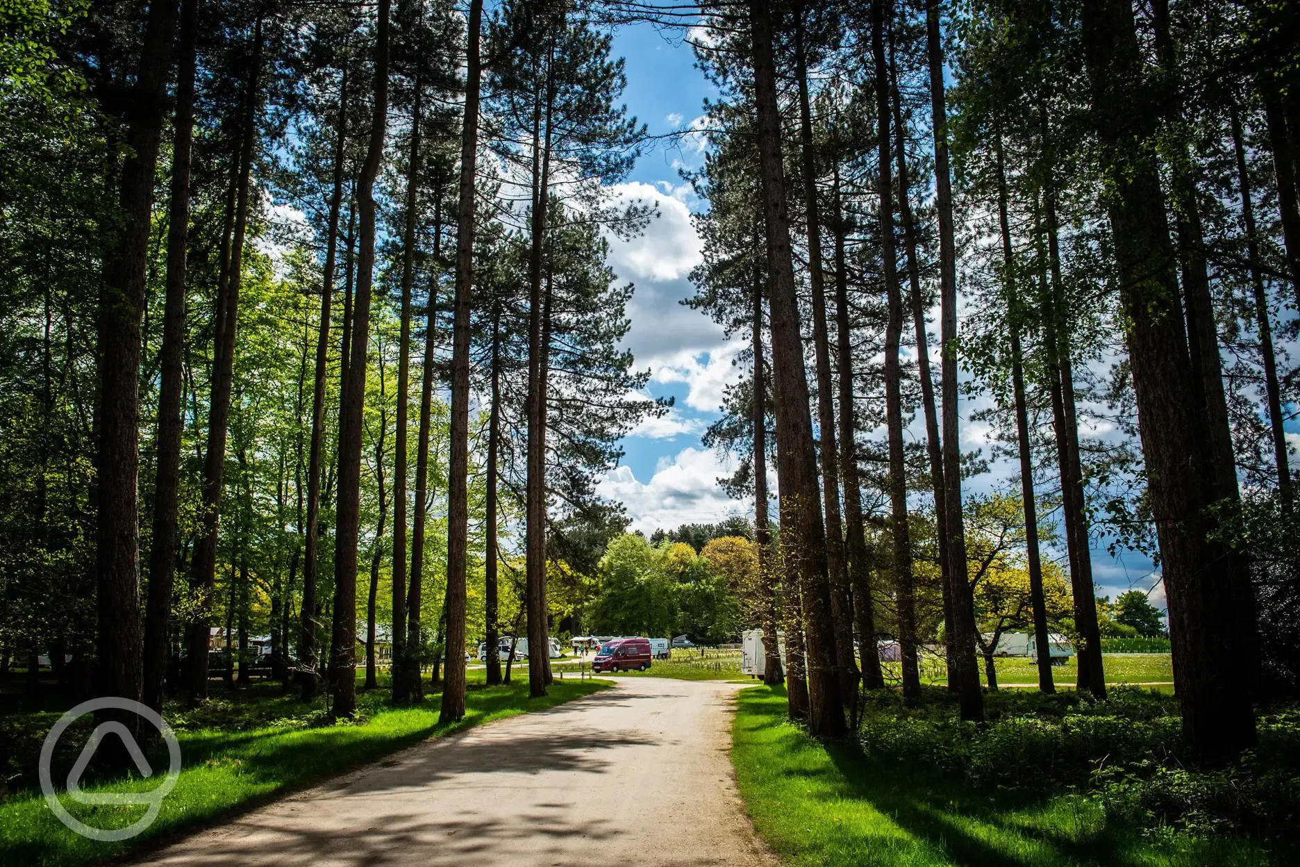 Dog friendly forest walks from Sherwood Pines Campsite Dog friendly forest walks from Sherwood Pines Campsite