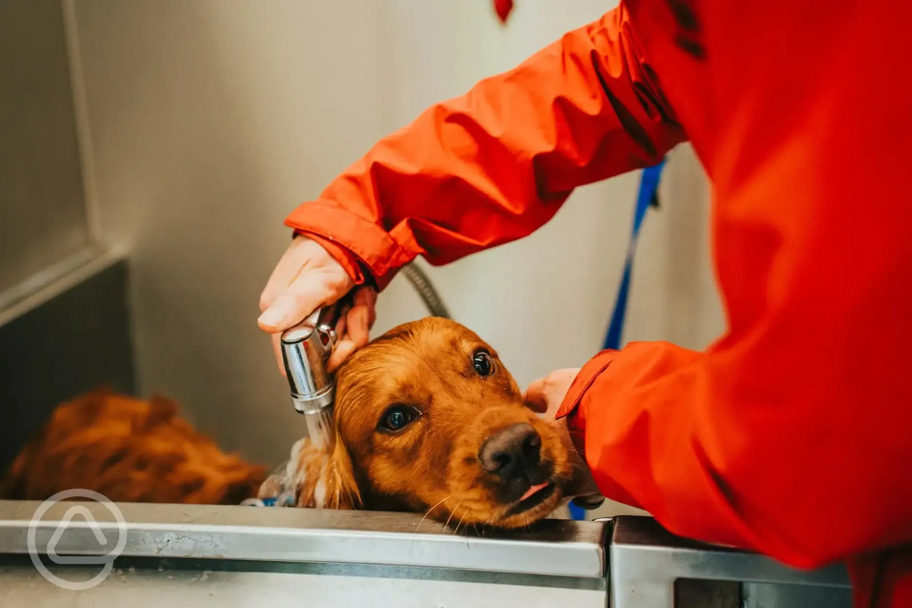 Dog wash at Sherwood Pines Campsite Dog wash at Sherwood Pines Campsite