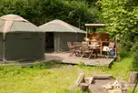 Woodland yurt