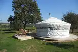 Owl yurt