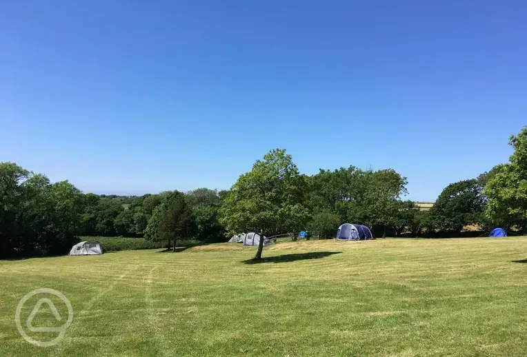 Non electric grass pitches
