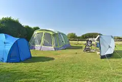 Electric grass pitches Electric grass pitches