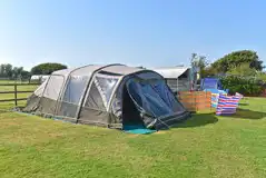 Electric grass pitches Electric grass pitches