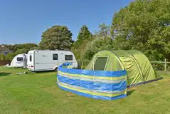 Electric grass pitches Electric grass pitches