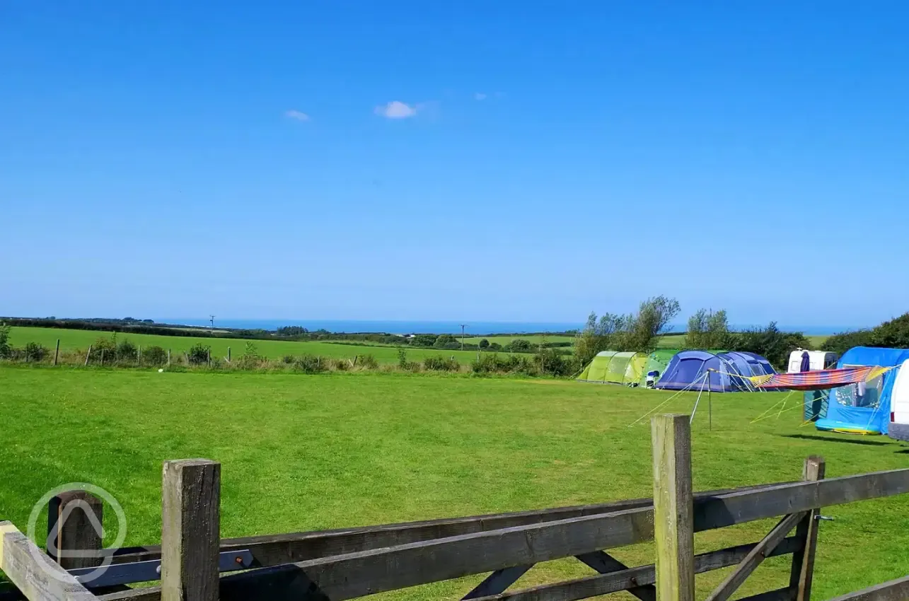 Large non electric grass pitches