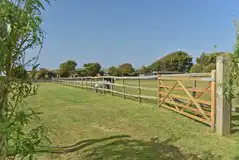 Large non electric grass pitches (paddock three) Large non electric grass pitches (paddock three)