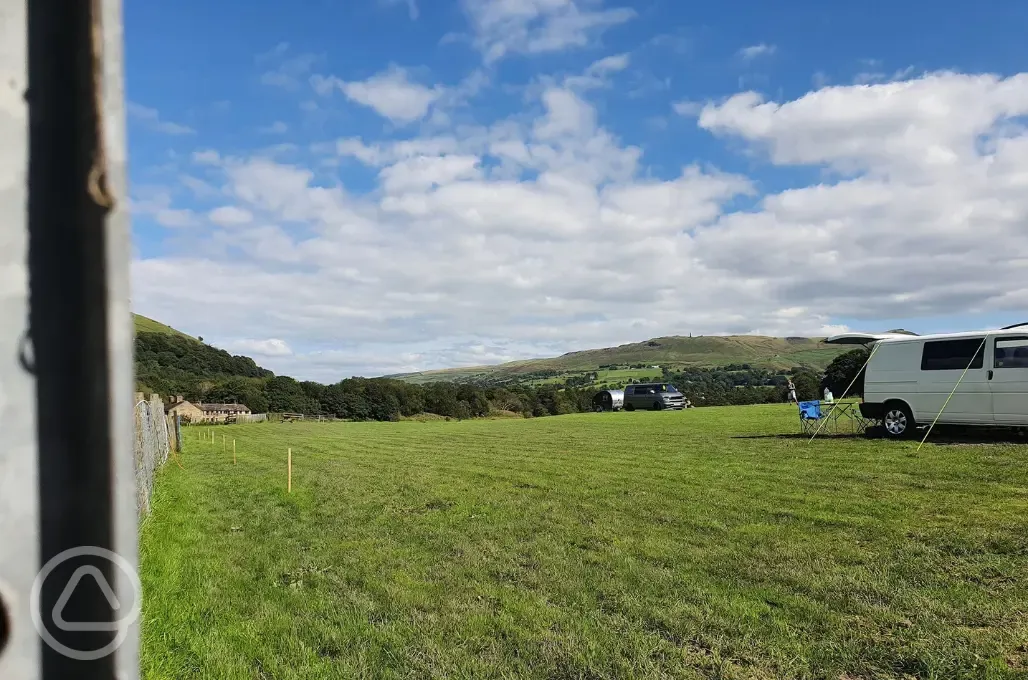 Electric grass pitches