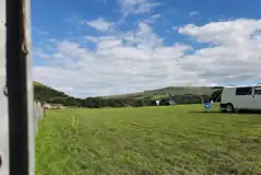 Electric grass pitches Electric grass pitches