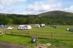Electric grass pitches Electric grass pitches