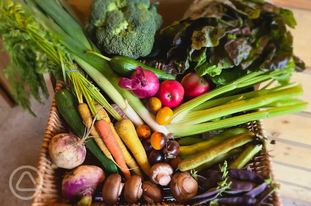 Farm shop onsite
