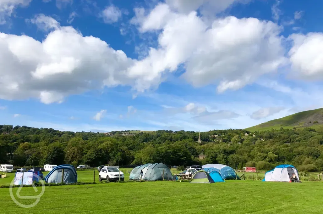 Non electric grass pitches