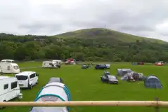 Electric grass pitches Electric grass pitches
