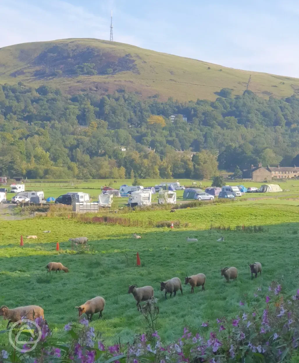 Site overview