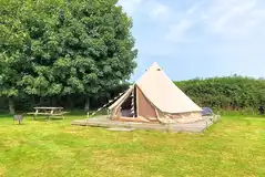Main field bell tent on a deck area with solar electric