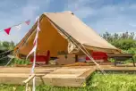 Main field bell tents