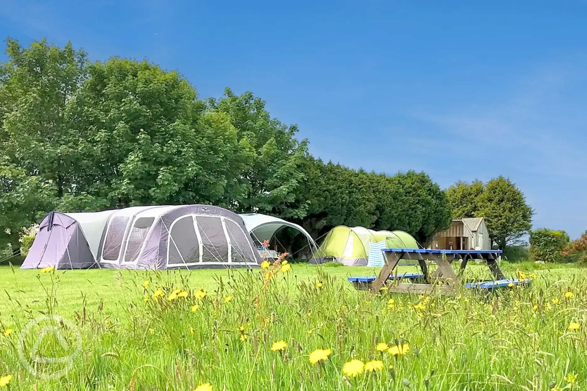 Grass pitches