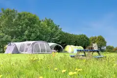 Grass pitches