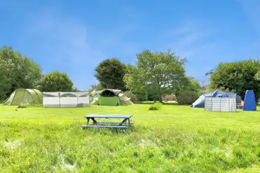 Grass pitches