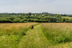 Wild camping tent pitches