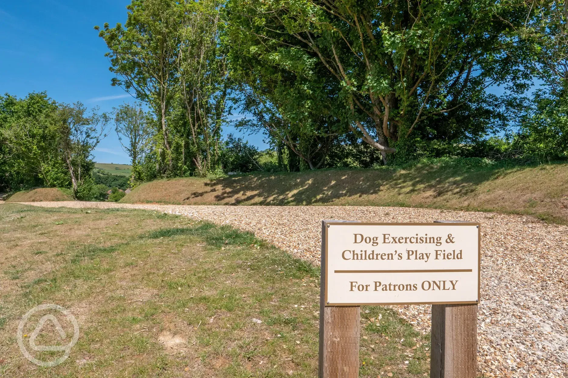 Dog exercise field