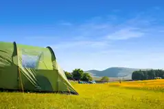 Grass tent pitches