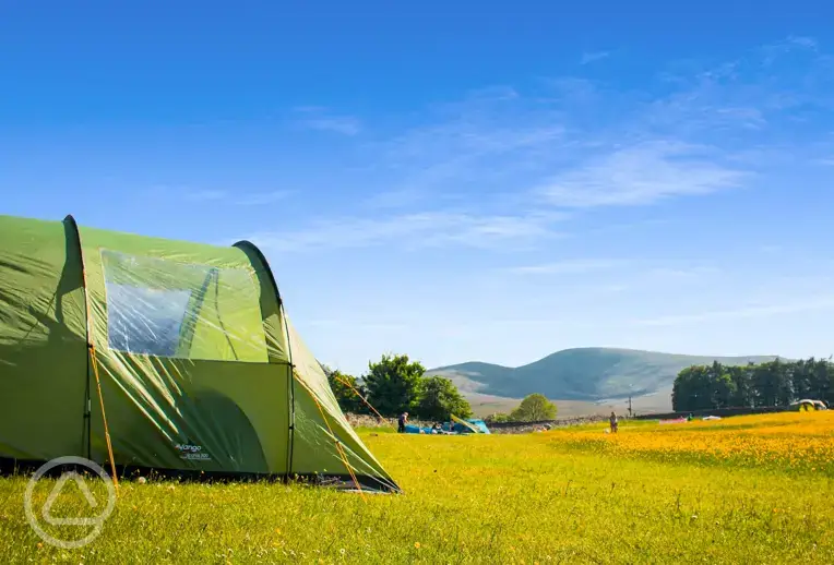 Grass tent pitches