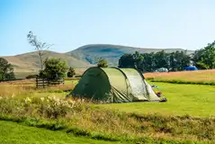Low Greenside Farm Campsite pitches in a wildflower meadow