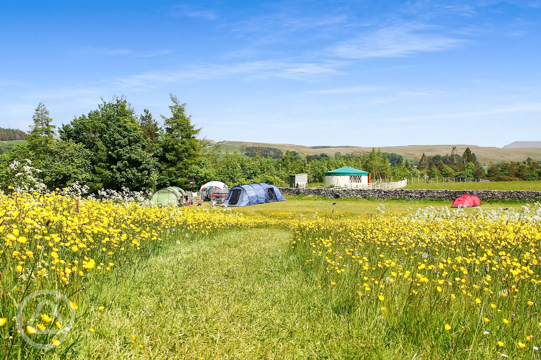 Site overview