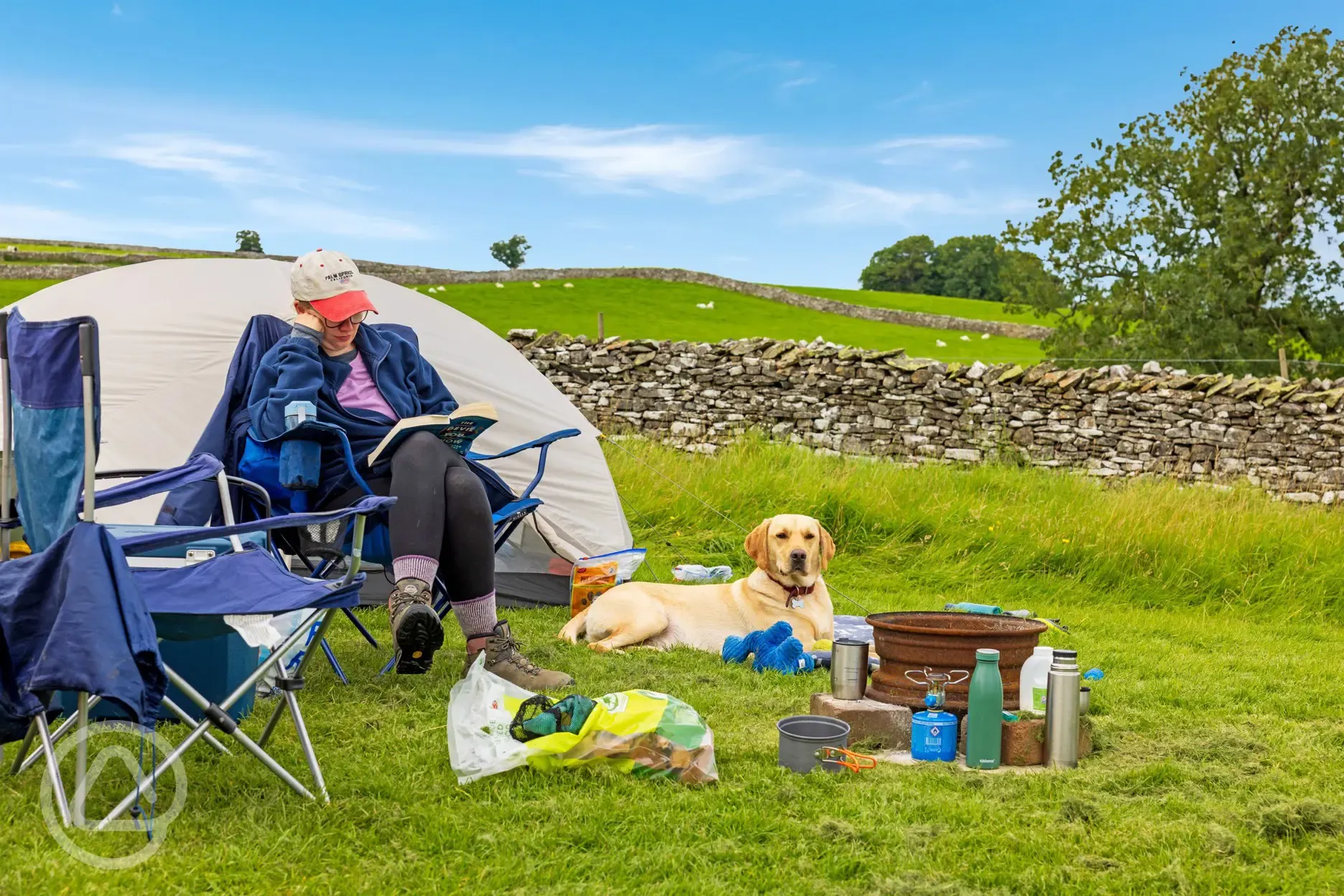 Dog friendly grass tent pitches