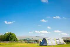 Grass tent pitches