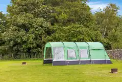 Grass tent pitches