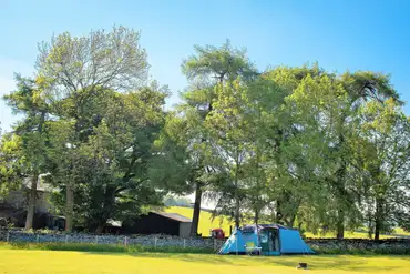 Grass tent pitches