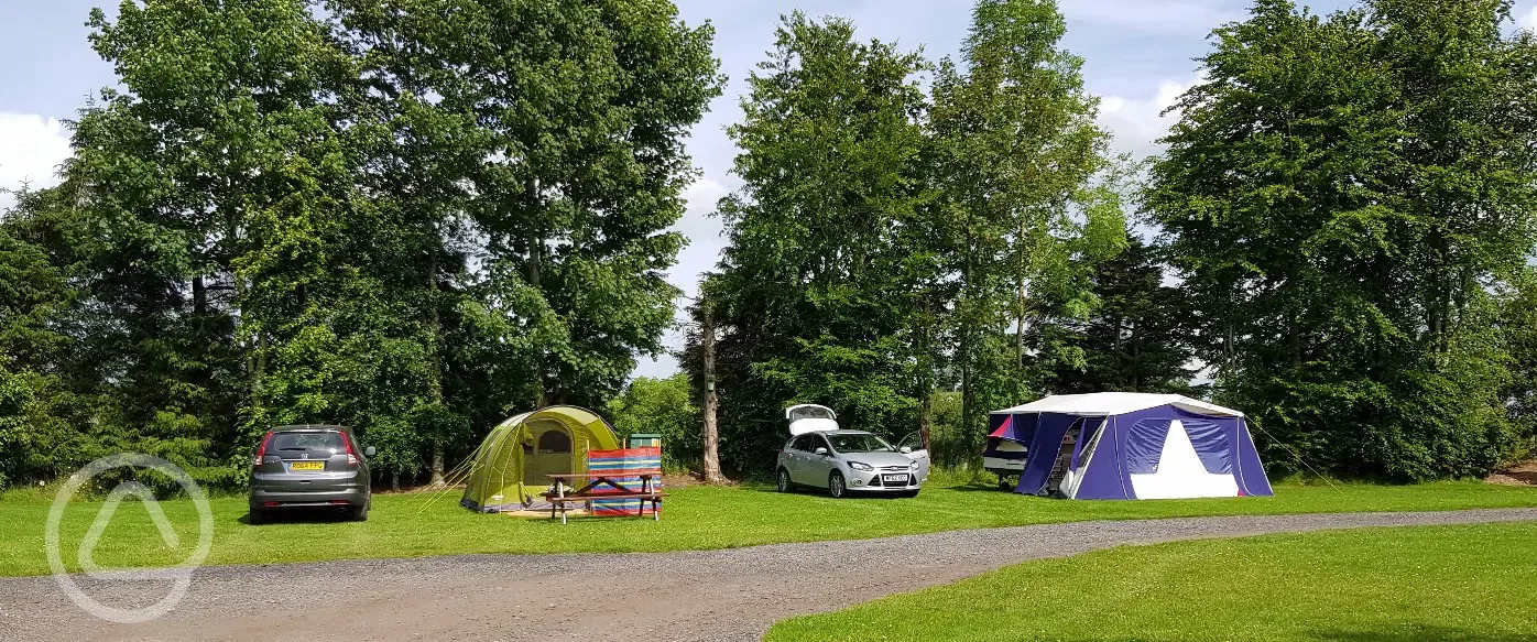 Grass tent pitches (optional electric) with a parking space