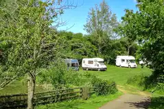 Grass pitches at Old Barn Touring Park for tourers