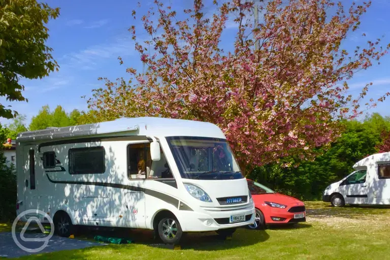Electric grass pitches