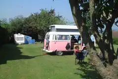 Electric grass pitches