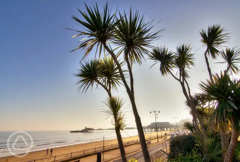 Sandown beach - 15 minutes away