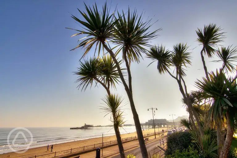 Sandown beach - 15 minutes away